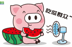 娱乐吃瓜酱倒装句,句式倒装，揭秘娱乐圈风云变幻