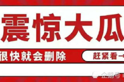 娱乐圈吃瓜帖子大全,吃瓜帖子大全深度解读