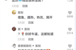 抖音网红吃瓜刘辉视频,网红吃瓜达人刘辉抖音视频揭秘娱乐圈幕后真相