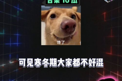 娱乐八卦吃瓜配图大全集,吃瓜配图大全集，带你领略明星幕后故事