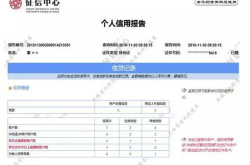 个人征信网上查询系统免费,个人征信网上查询系统免费体验指南