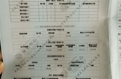 征信报告去哪里打,征信报告获取与生成途径详解